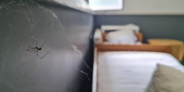 Në kushte të mjera, Pediatria në Mitrovicë të Jugut pret objektin e ri