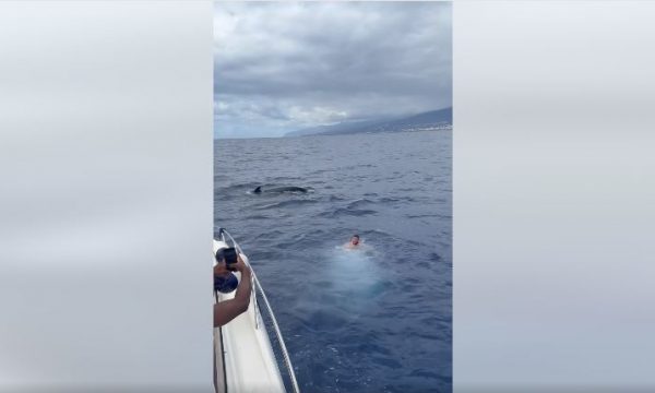 Florian Marku noton pranë balenave në Spanjë