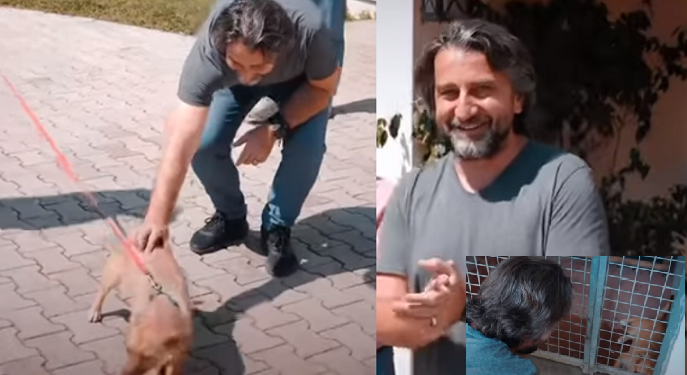 Rama: Po vazhdon me sukses adoptimi i qenve endacakë, në më pak se një javë janë adoptuar 30