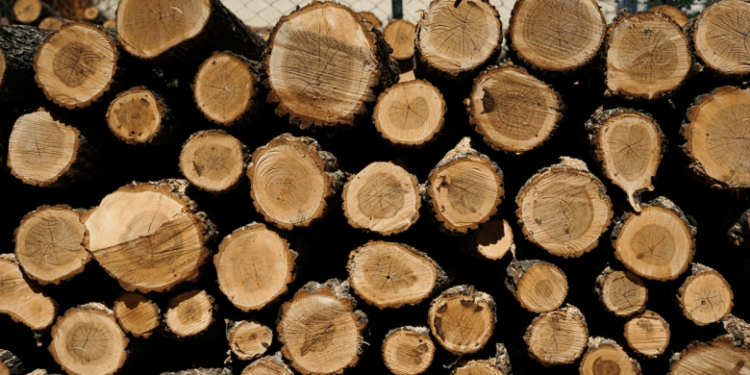 Tragjike: Shkoi në mal për të marrë dru, 71-vjeçari vdes pasi preu këmbën me sharrë