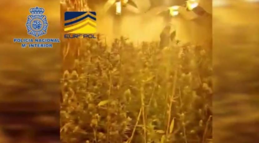 Spanjë: Europol shkatërron grupin shqiptaro-kinez, shpërlanë mbi 65 milionë euro