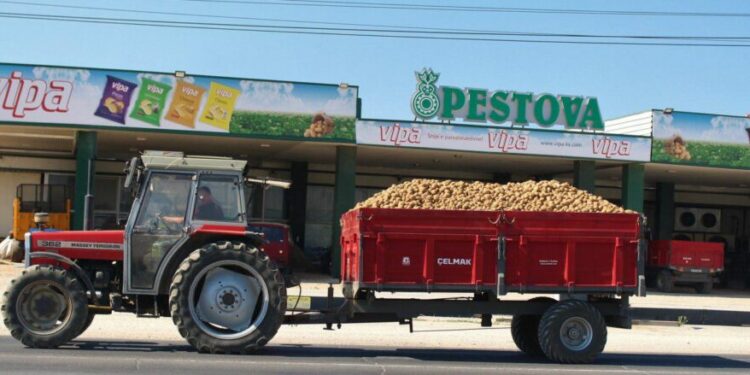 Sllovenia identifikon një rast të kimikatit kancerogjen në Vipa Çips, mbi 50 për qind e tyre u konsumuan edhe në tregun e Kosovës