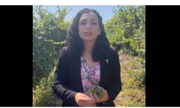 Osmani shfaqet nga Rahoveci me një kalavesh rrushi në dorë, fton qytetarët që ta vizitojnë Hardh Fest-in