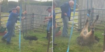 Shikojeni çfarë nxorën nga kjo vrimë qytetarët në Britani të Madhe