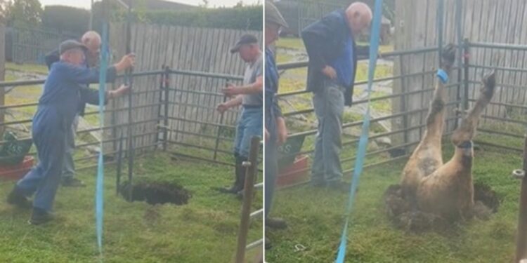 Shikojeni çfarë nxorën nga kjo vrimë qytetarët në Britani të Madhe