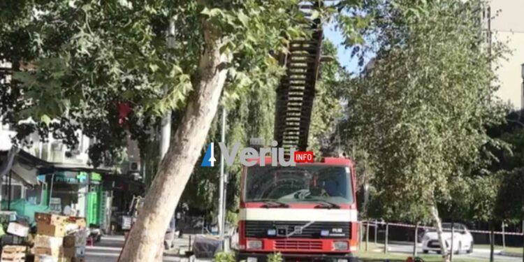 Qytetarët të pakënaqur me vonesat e punimeve në rrugën “Ali Zeneli”