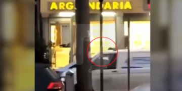 A duhet të posedojë policia patrulluese armë të gjata?