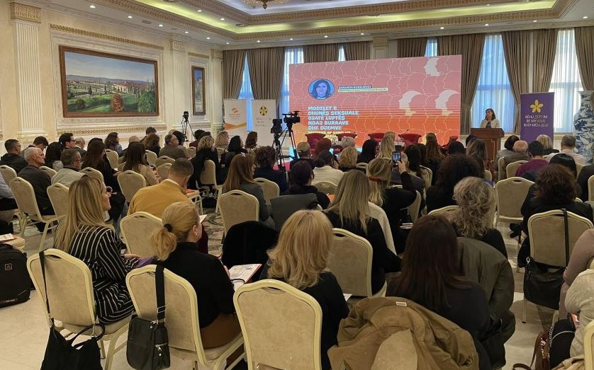Veç 84 burra të dhunuar gjatë luftës janë paraqitur pranë institucioneve