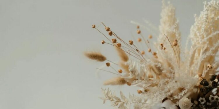 Nuk keni fat, nuk keni para, nuk ju ec në punë? Lulen që duhet ta largoni menjëherë nga shtëpia