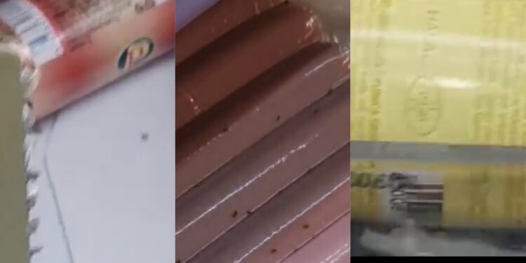 Skandaloze: Virshllet ‘të pushtuara’ nga insektet në rafte për shitje në “Viva Fresh Store”