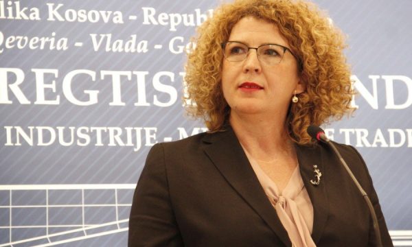 Hajdari: Opozitën e pengon puna e vendimet e mira të qeverisë