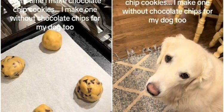 Gruaja në TikTok ka treguar arsyen pse sa herë që përgatit biskota, e bën edhe një pa çokollatë