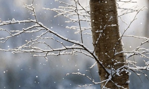 Parashikimi i motit për sot: A do të ketë reshje bore?