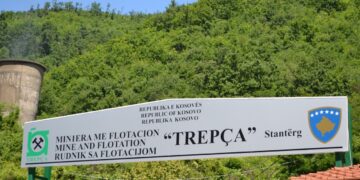 Trepça jep jashtëligjshëm me qira hapësirat në terminalin doganor