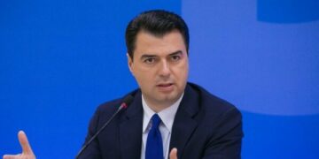 Basha: Të hënën dorëzojmë një amendament për të kërkuar 50 milionë euro për ushtrinë e Kosovës
