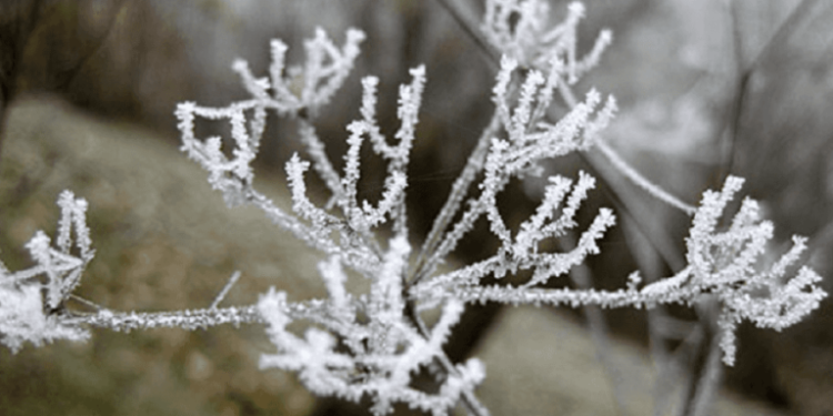 Java e ardhshme me borë e acar, këto do të jenë temperaturat