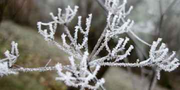 Mot i ftohtë, temperaturat deri në -8 gradë Celsius