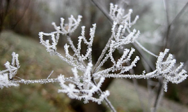 Mot i ftohtë, temperaturat deri në -8 gradë Celsius