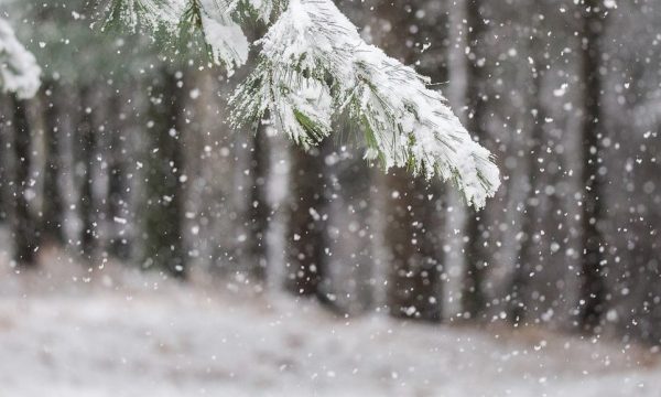 Kushte të paqëndrueshme meteorologjike/Java e ardhshme me reshje bore