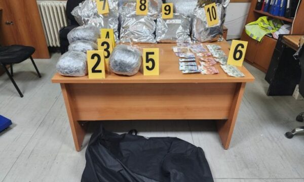 Konfiskohen mbi 33 kilogramë marihuanë në bjeshkët e Vërmicës, arrestohet një person – tjetri arratiset