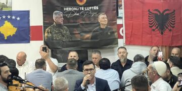 Sami Lushtaku: Puna për fuqizimin e PDK-së në diasporë është për çdo lëvdatë