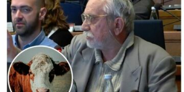 Politikani nga BeH po kërkon ngritjen e një monumenti të një lope në qendër të Sarajevës