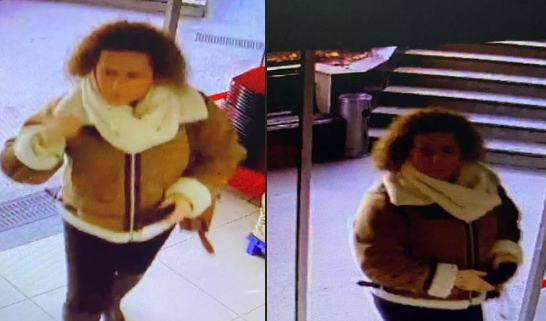 Policia publikon fotografitë e një të dyshuare për shpërdorim të pasurisë së huaj