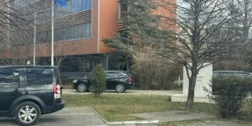 Hovenier në Qeveri, Kurti në ShBA