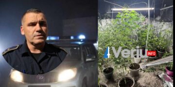 Konfirmohet raportimi i Veriu.info nga Policia e Kosovës: U gjet laborator droge në Leposaviq, u sekuestruan 23 bimë narkotike dhe u arrestua një person (VIDEO)
