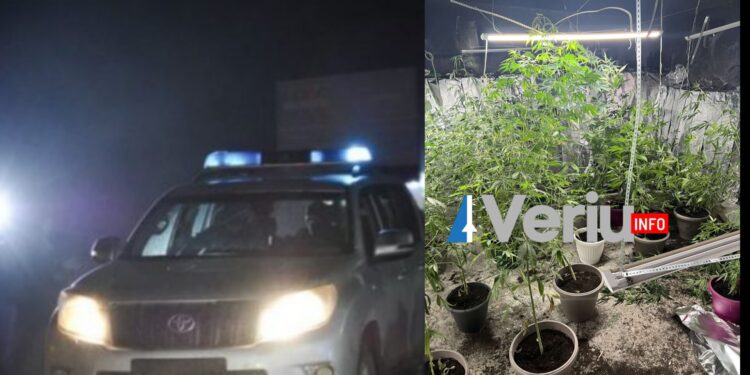Policia e Kosovës sonte shkatërroj një laborator droge në Leposaviq, arrestohet një person (Foto)