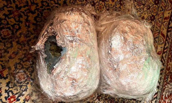Gjatë kontrollit iu gjet më shumë se 1kg marihuanë, arrestohet i riu në Gjilan