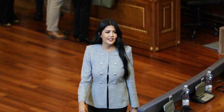 Kërkesat e Kurtit ndaj BE-së/ Krasniqi: Për konsum politik, hedh akuza e nuk angazhohet për heqjen e sanksioneve
