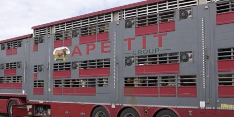 “I sponsorizuar nga konkurrenca”: Kompania “Apetit” i mohon akuzat, thotë se nuk shiti mish të Brazilit si të Kosovës