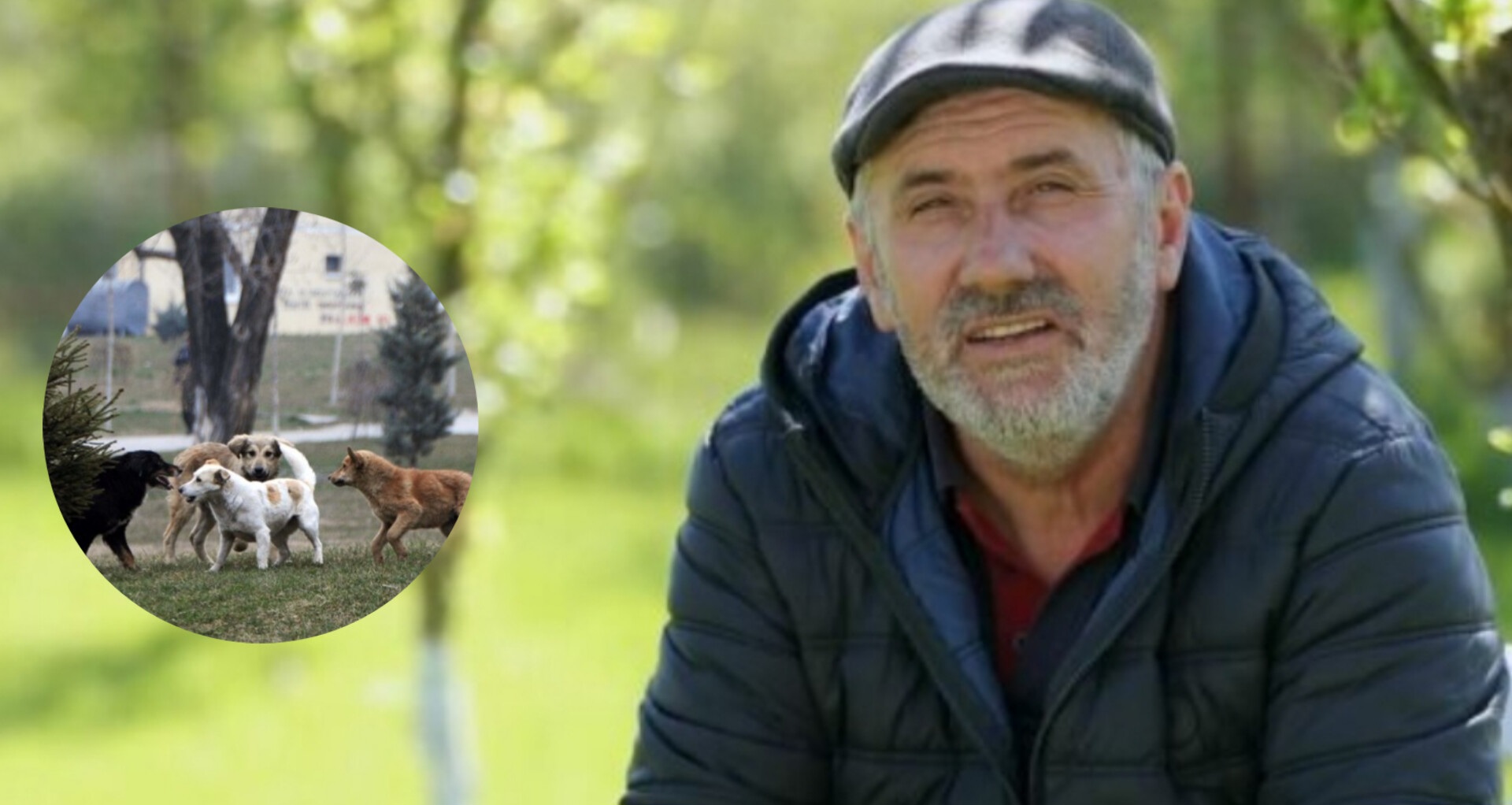 Ky është burri nga Prishtina që ka adoptuar 10 qen endacak, merr 500 euro çdo muaj nga Komuna e Prishtinës