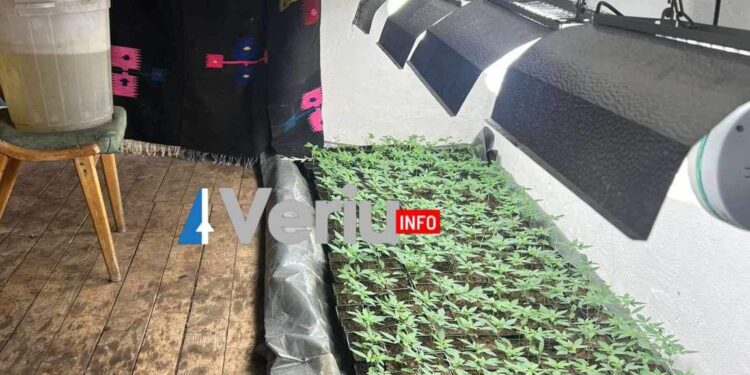 PAMJE EKSKLUZIVE nga laboratori i drogës në veri që sot u gjet nga Policia e Kosovës