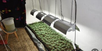 Policia e Kosovës shkatërron edhe një laborator tjetër të drogës në Leposaviq (FOTO/VIDEO)