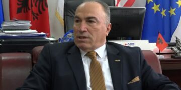Shahini: Kosova nën sanksione feston ditën e Europës,  humbi mbi 600 milionë euro si pasojë e masave