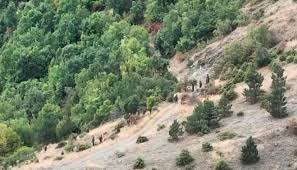 Raporti zyrtar: KFOR e negocioi largimin e terroristëve nga Banjska