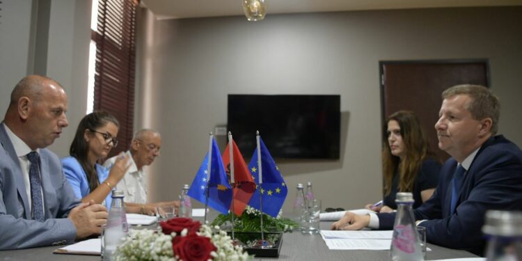 Szunyog takohet me Lladrovcin: Përgëzime për zbatimin e projektit të BE-së për arsim