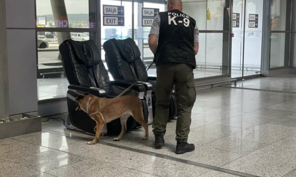 Raportohet për bombë në Aeroport, Policia po kryen kontrolle me qen