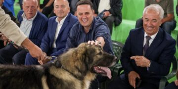 Abdixhiku në Dragash, i ndan çmimin qenit fitues në ekspozitën tradicionale të Qenit Ilir të Sharrit