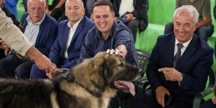 Abdixhiku në Dragash, i ndan çmimin qenit fitues në ekspozitën tradicionale të Qenit Ilir të Sharrit