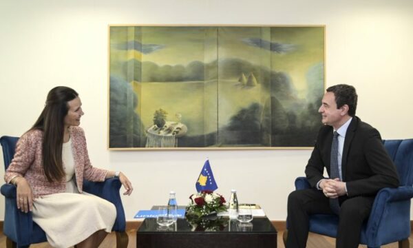 Kurti takon drejtoren e re të Zyrës së UNICEF-it, i ofron bashkëpunim të afërt me të