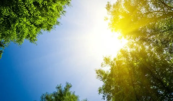 Temperatura të larta deri në nëntor -“Vjeshta do jetë e thatë dhe me temperatura të ngrohta”
