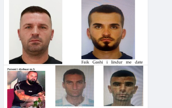 Policia shpall në kërkim 5 persona, kultivuan bimë narkotike në një fshat të Klinës