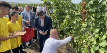 Ministri Peci dhe kryetari Latifi hapin zyrtarisht “Hardh Fest” me prerjen ceremoniale të kalaveshit të rrushit