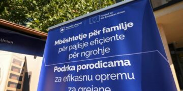 Kurti: Thirrja për subvencionim të familjeve për blerje të pajisjeve efiçiente për ngrohje sapo u hap