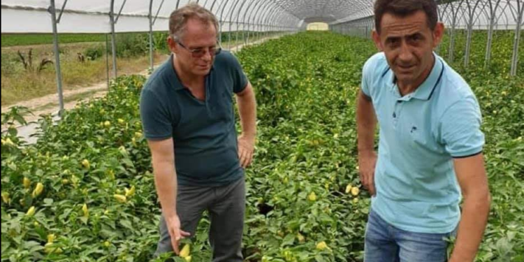 “Nëse del një prokuror bir kur*ve”, marrja në pyetje e Dejonës nervozon të shpërblyerin me post nga pushteti i Kurtit