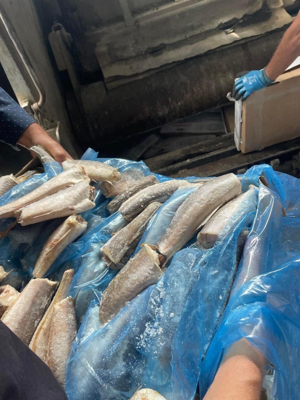 AUV asgjëson 19 mijë e 750 kg peshk