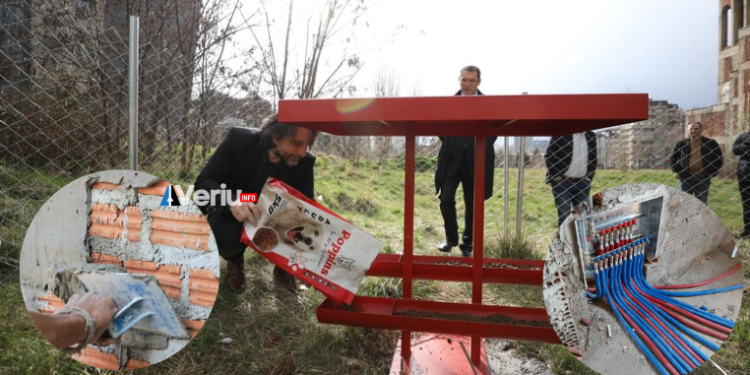 E çuditshme: “Furnizimi i qenëve endacak me ushqim” – Komuna e Përparim Ramës e shpërblen me kontratë kompaninë që merret me inxhinieri, hidraulik e suvatime